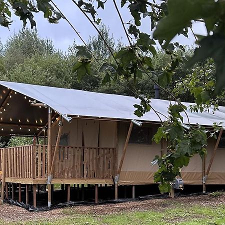 Cherry Tree Safari Lodge Talaton Bagian luar foto